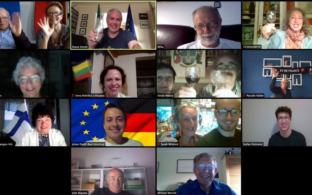 Online Meeting for Europe Day